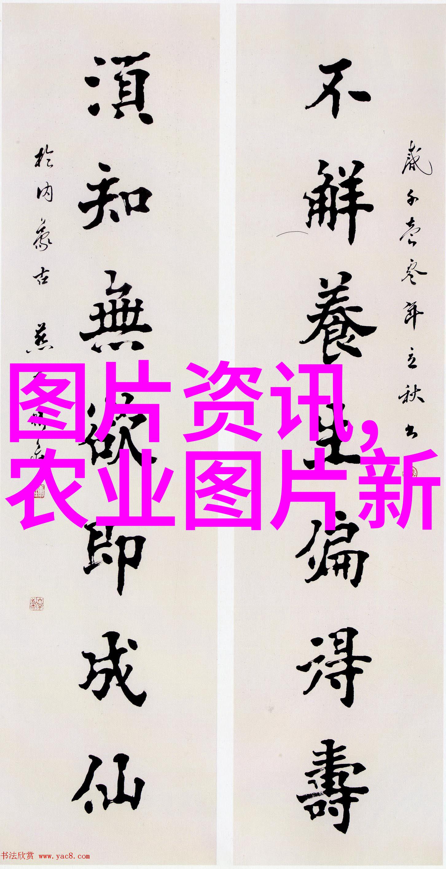 安徽省肥西县食用菌产业发展专家前往扈胡镇指导平菇种植工作确保法律法规得到正确执行