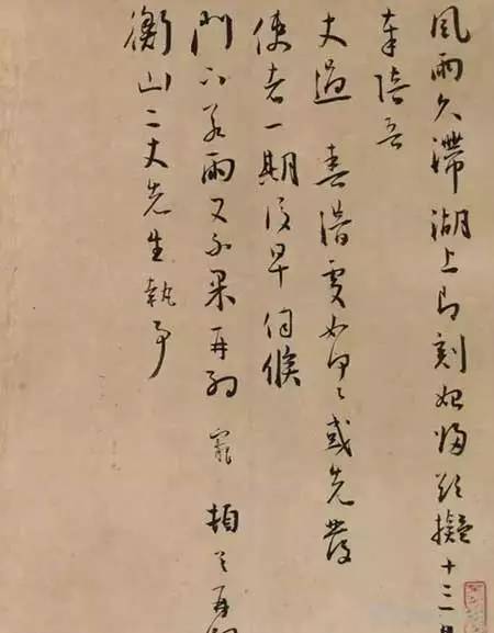 室内精选10种美观又易养的植物