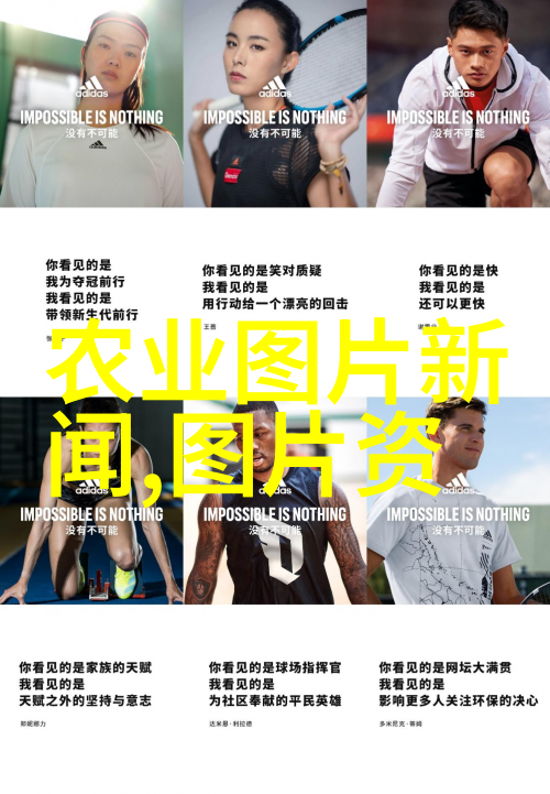 树木之友探索常见苗木种类