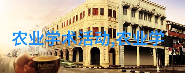 乱码视频解析揭秘1区2区3区产品差异