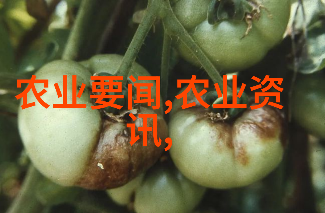 绿意盎然园艺爱好者的亲密朋友