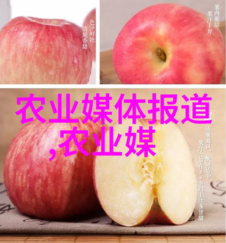 虾养殖技术全解析从基因改良到环境调节的高效育种方法