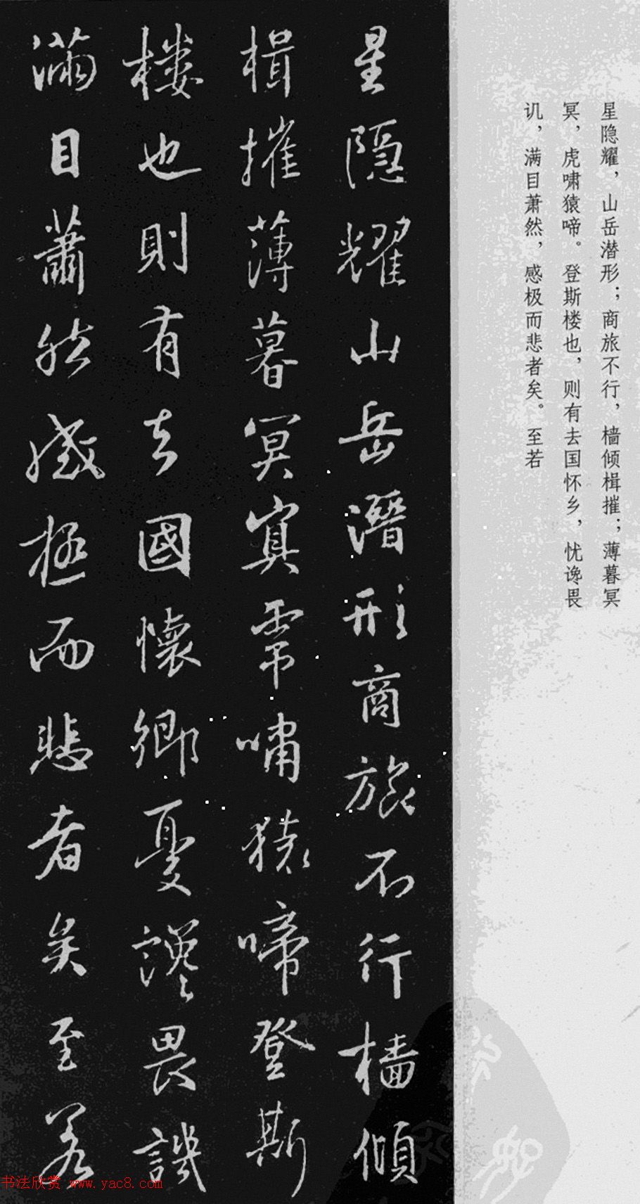 秘密种植揭开未来最耀眼的养殖业
