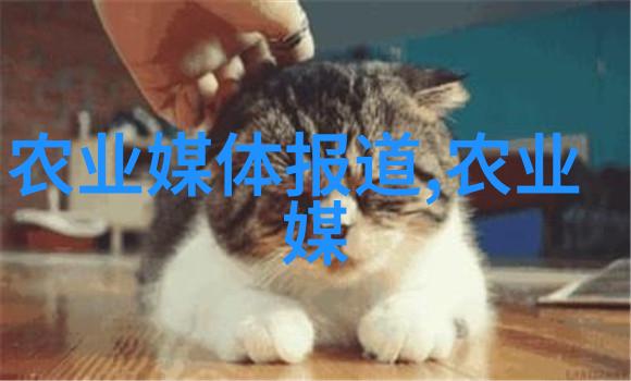 除了昆虫外蜜蜂还能用这些工具做其他什么事情吗它对环境有什么影响呢