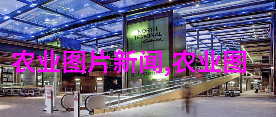 品味茶道沉淀生活之内涵