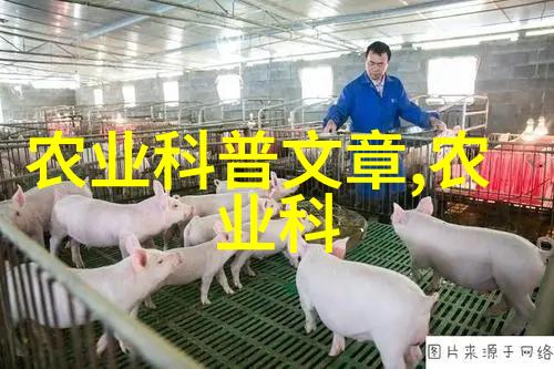 水果种子我来告诉你哪些水果的种子可以直接种下去哦