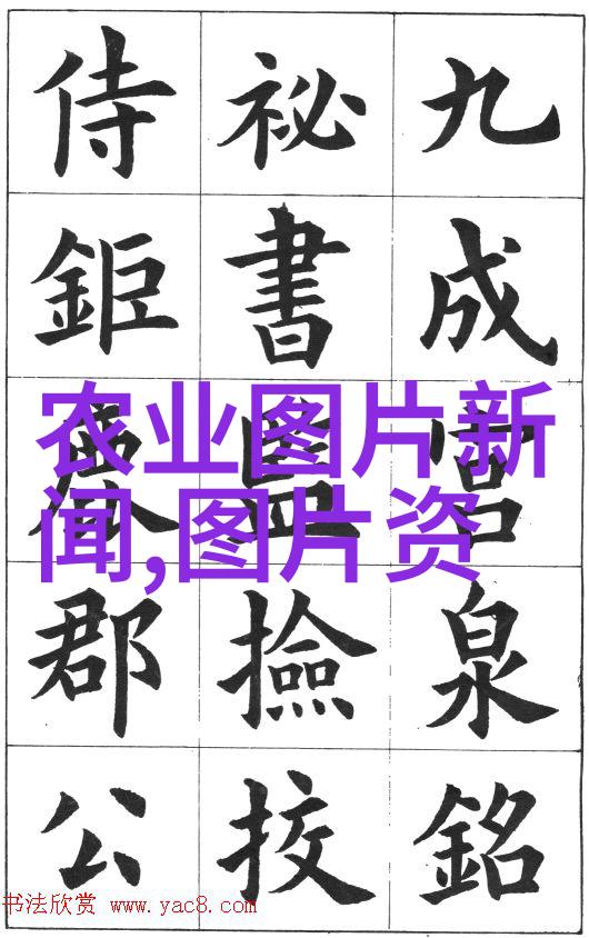 金线莲种子价格背后的秘密市场何以炙热