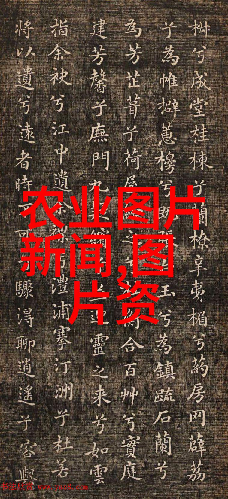 芜菁甘蓝绿意盎然的田野交响曲