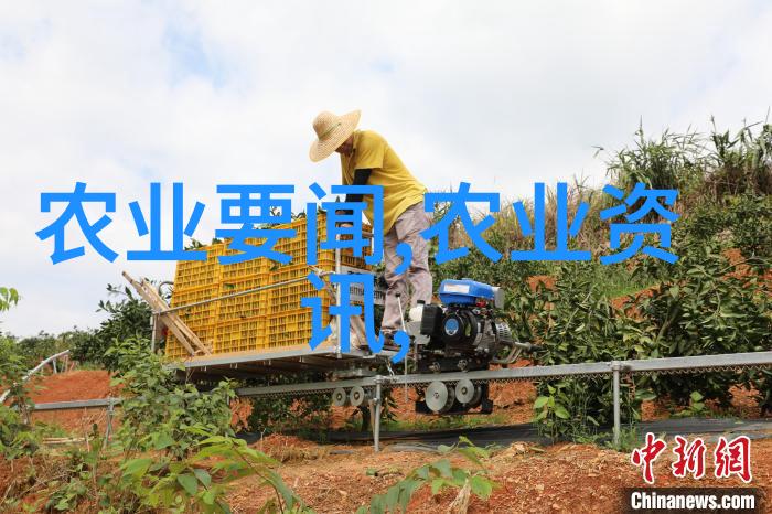 追忆尤物揭秘YW193视频背后的传奇故事