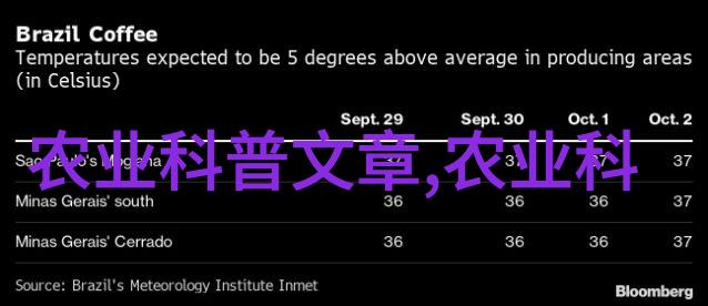 树葡萄与蔬菜共生北方园艺智慧分享