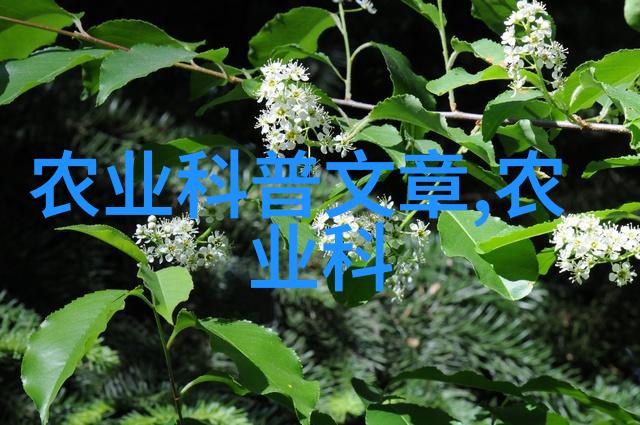探索依依社区一个温馨的港湾连接心灵的桥梁