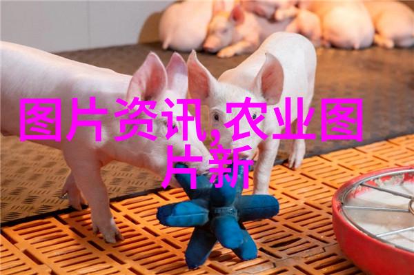 茶艺匠人之旅探索中国茶文化的艺术与哲学