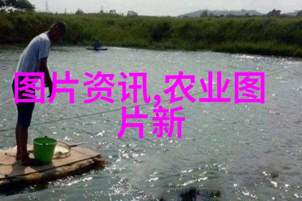 牧场丰收如何通过养20只羊实现年利润增长