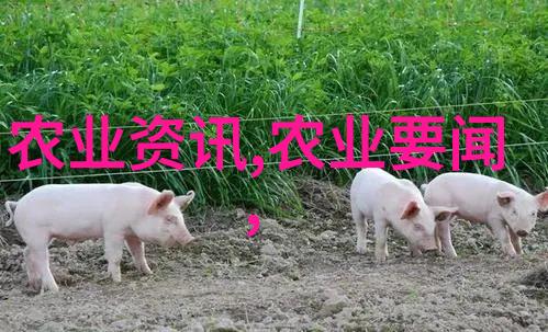 园艺乐趣精心策划的花海之旅