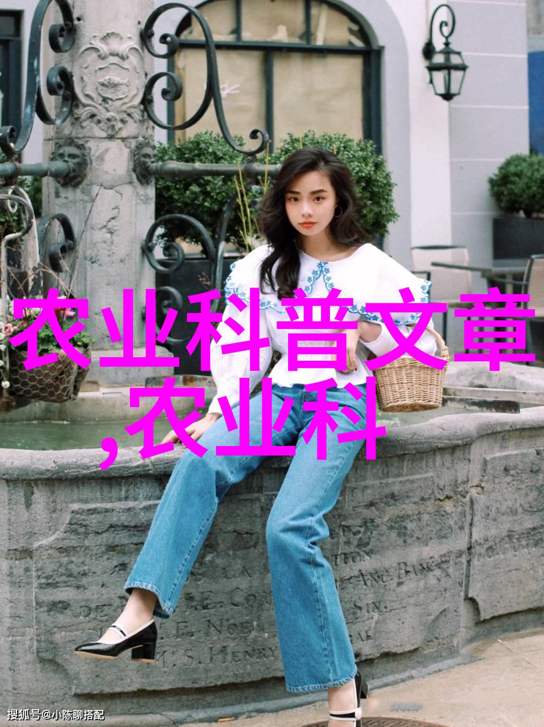 茶叶的基本种类六种绿茶红茶乌龙茶白茶黄焖茶普洱