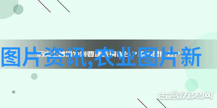 药材盛世一亩之地一年丰收五万的奇迹