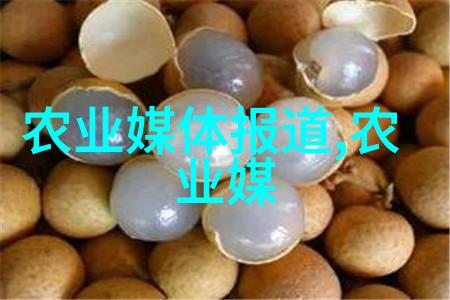 乡村药材园艺与调养策略探究