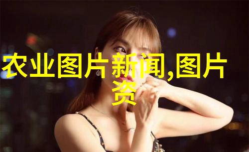 品味茶韵揭秘茶叶文化与知识