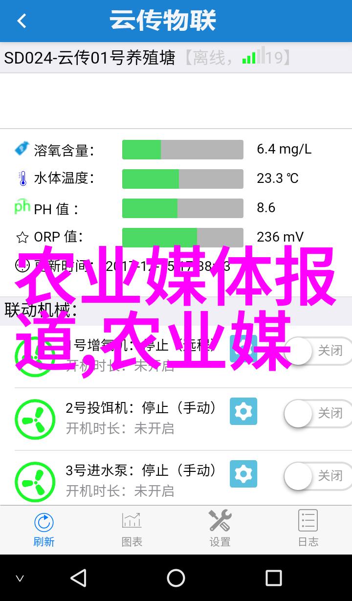 家庭花卉盆栽家中美化生活的绿色乐趣