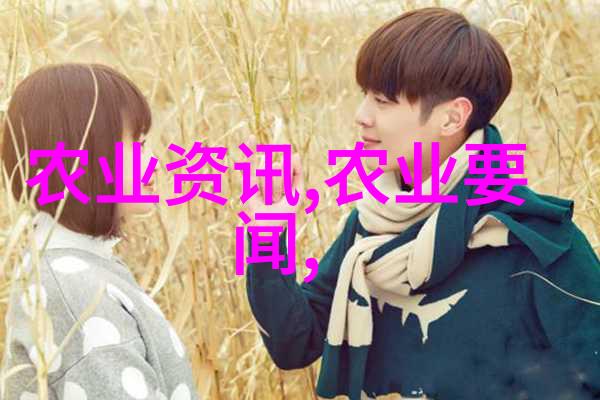 现代农业蔬菜种植中的温室西葫芦若能聆听栽培的智慧它将在你的手中绽放出无与伦比的美丽