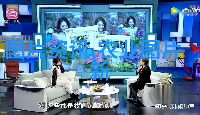 高效种植业揭秘最赚钱的现代农业项目