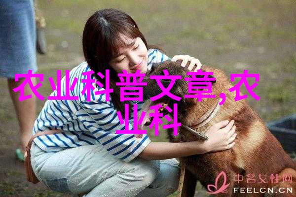 无土水培蔬菜种植我是怎么在家里用水也能长出美味蔬菜的