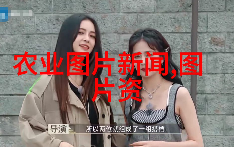 如何预防室内植物受到病虫害的侵袭并进行治疗