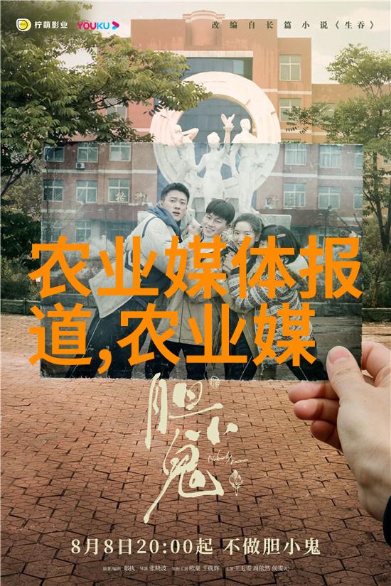 从零到英雄初学者指南如何正确育养蜂王