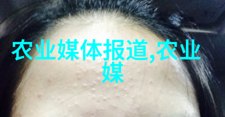 当年收益的药材有哪些古代医药中高效药材