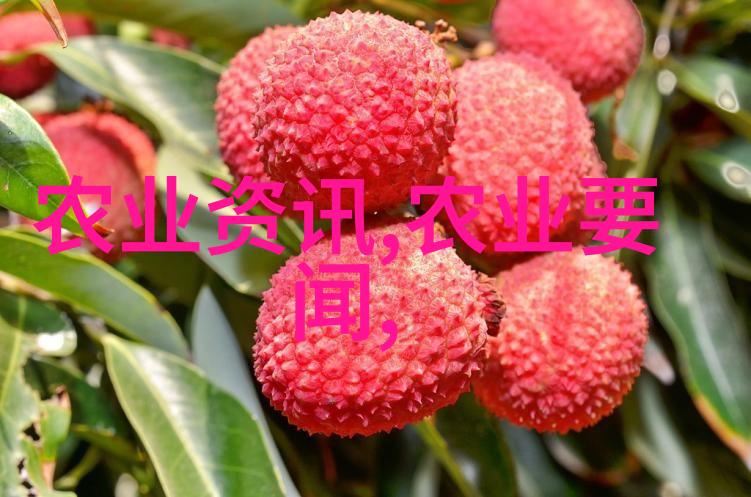 三菱药材种植市场前景技术高效育苗技术精准农业管理系统生物防治方法开发