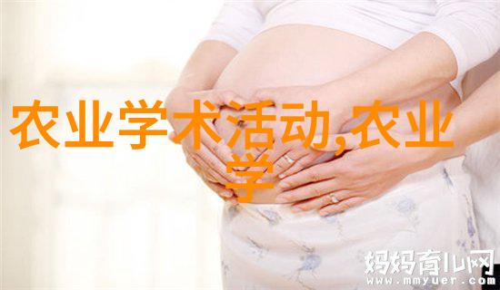 金黄色的回响秸秆的编织与梦想