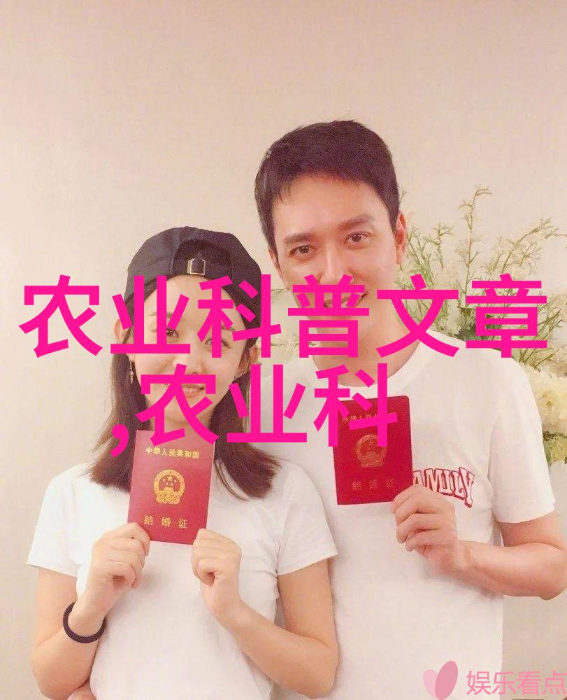 学长的帮助全文免费阅读