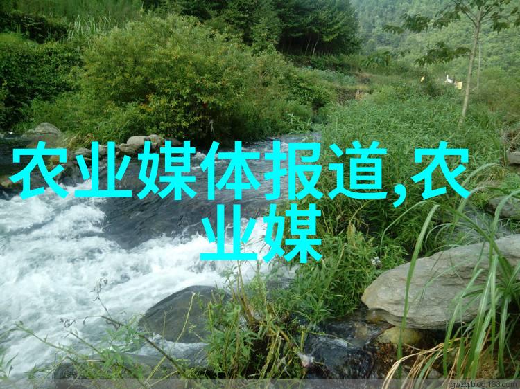 斗鸡养殖中是否可以使用玉米苗浇水及乌龟粪便提取液作为肥料