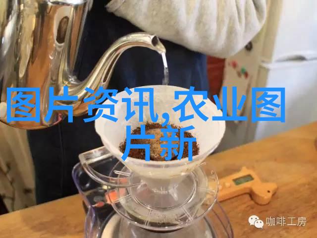 从土壤到繁殖深入浅出地理解花卉生态系统