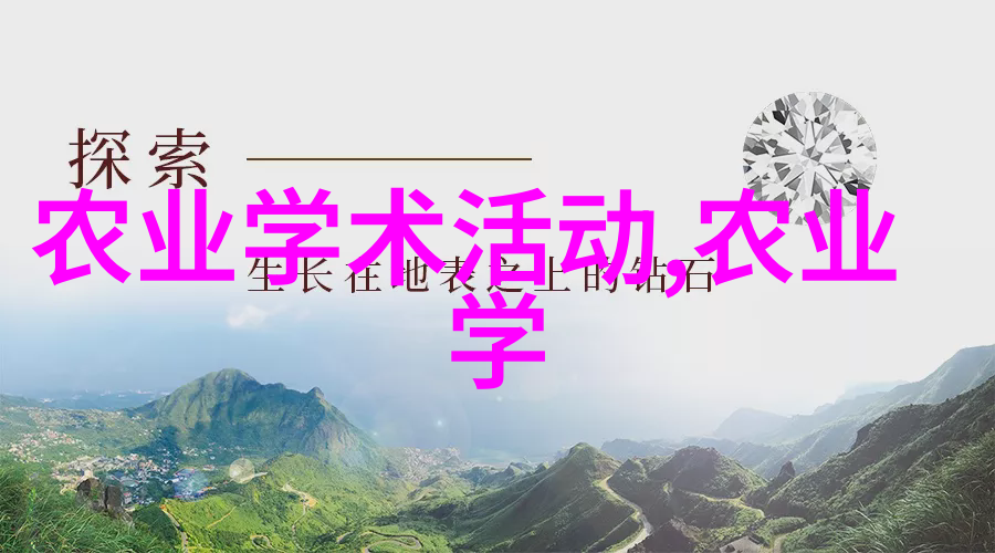 翅膀上的旅行者6米8养蜂车的奇遇篇