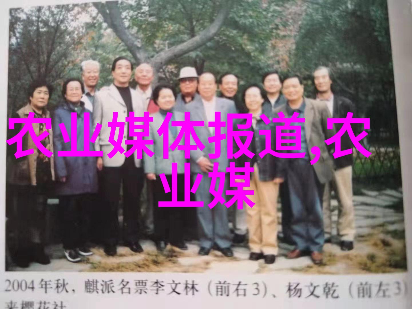 东北药香黑龙江的中药宝藏