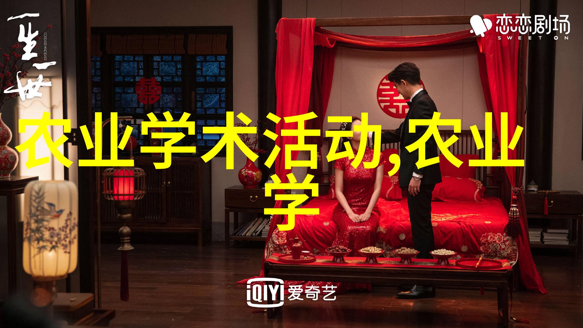 翡翠绽放10公分玉兰树的秘密花语