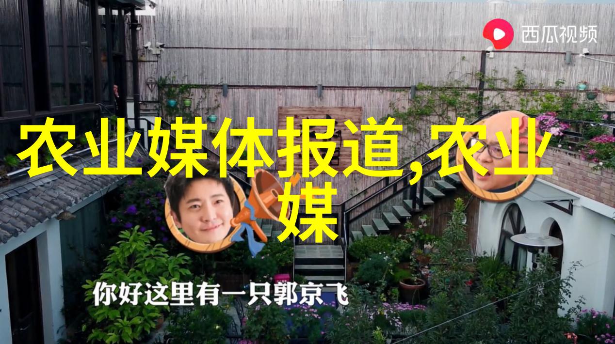 从田间到家用300种常见中草药如何被利用
