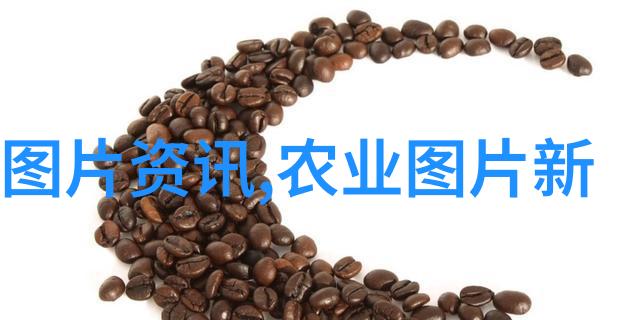2020年农村最赚钱的养殖业选择有机蔬菜种植