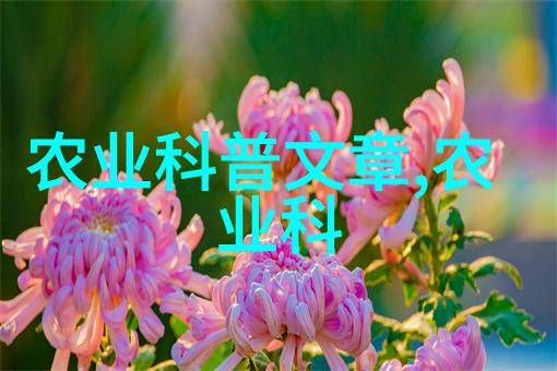 不死者永恒的谜团与沉默的守护