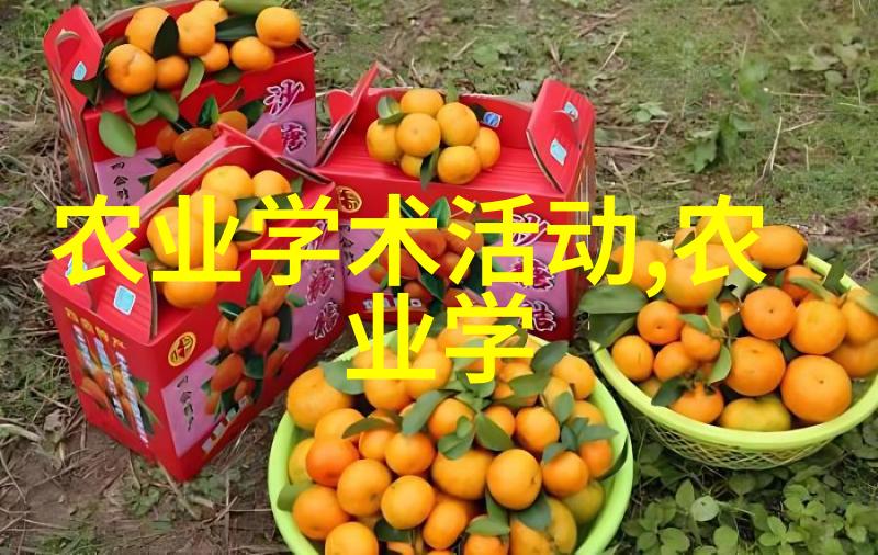 解密零食背后的力量为什么现在的人们热爱吃水果籽