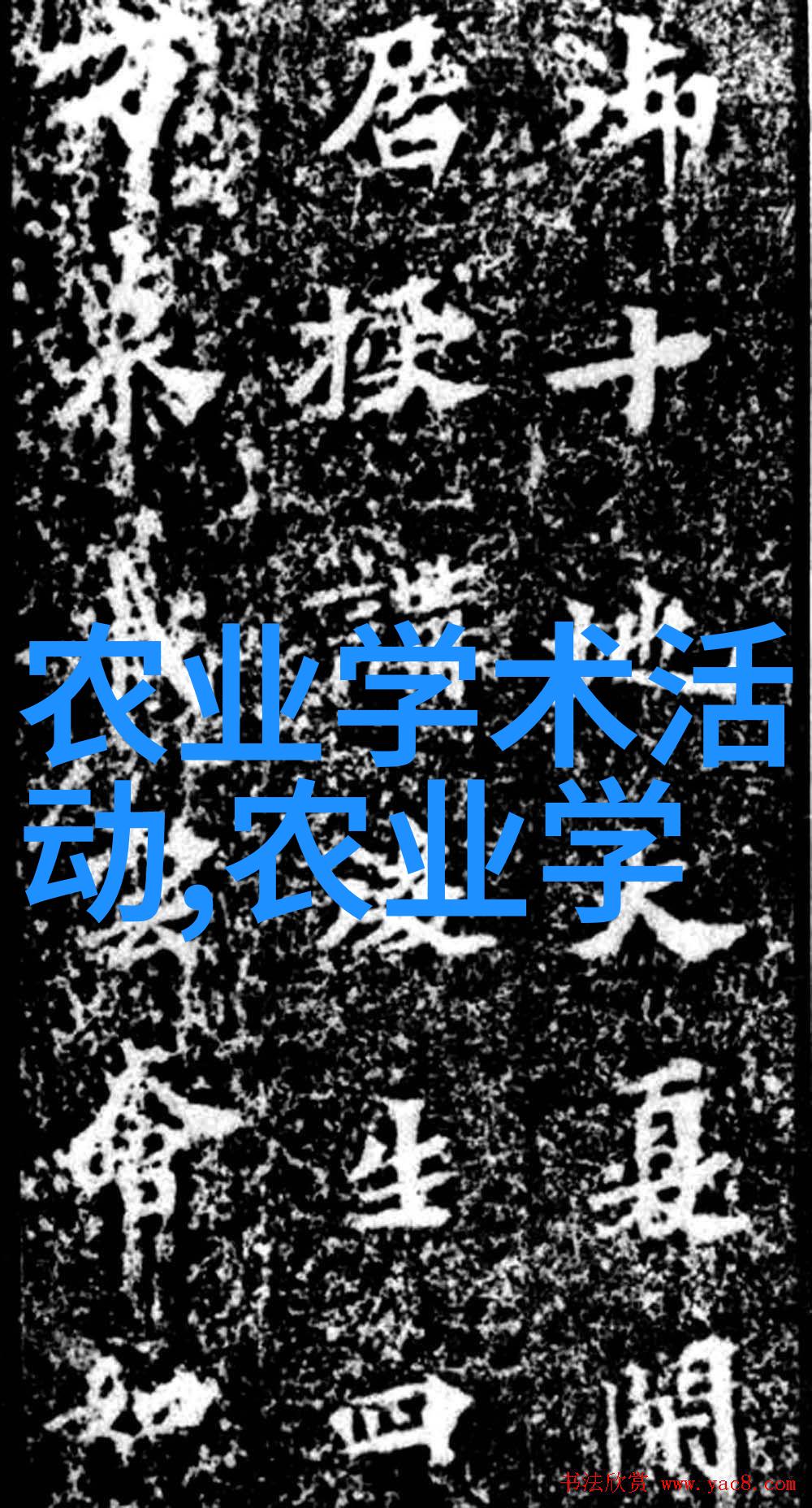 竹影绘意文竹养殖之美学探究
