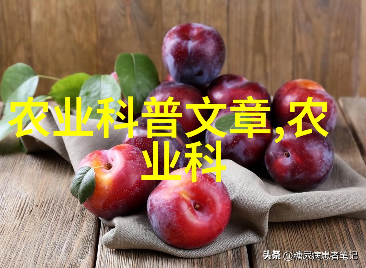 中药材图鉴中国传统医学的百草全貌