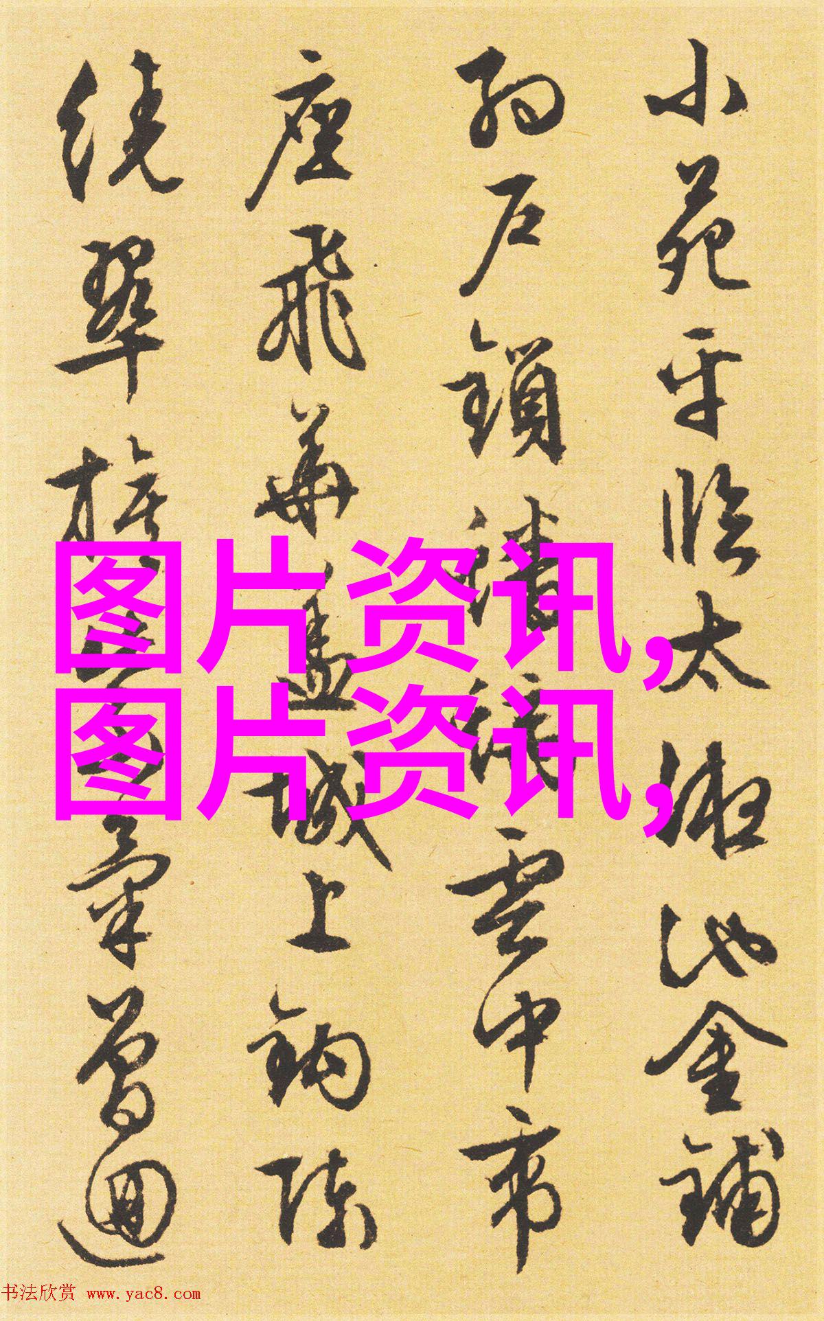 竹鼠养殖技术大全 - 精准引领你走进竹鼠产业的奇妙世界