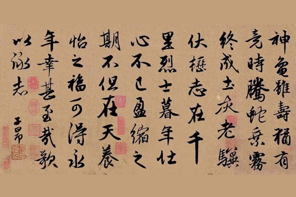 绿意盎然的梦想园大棚建造全解析