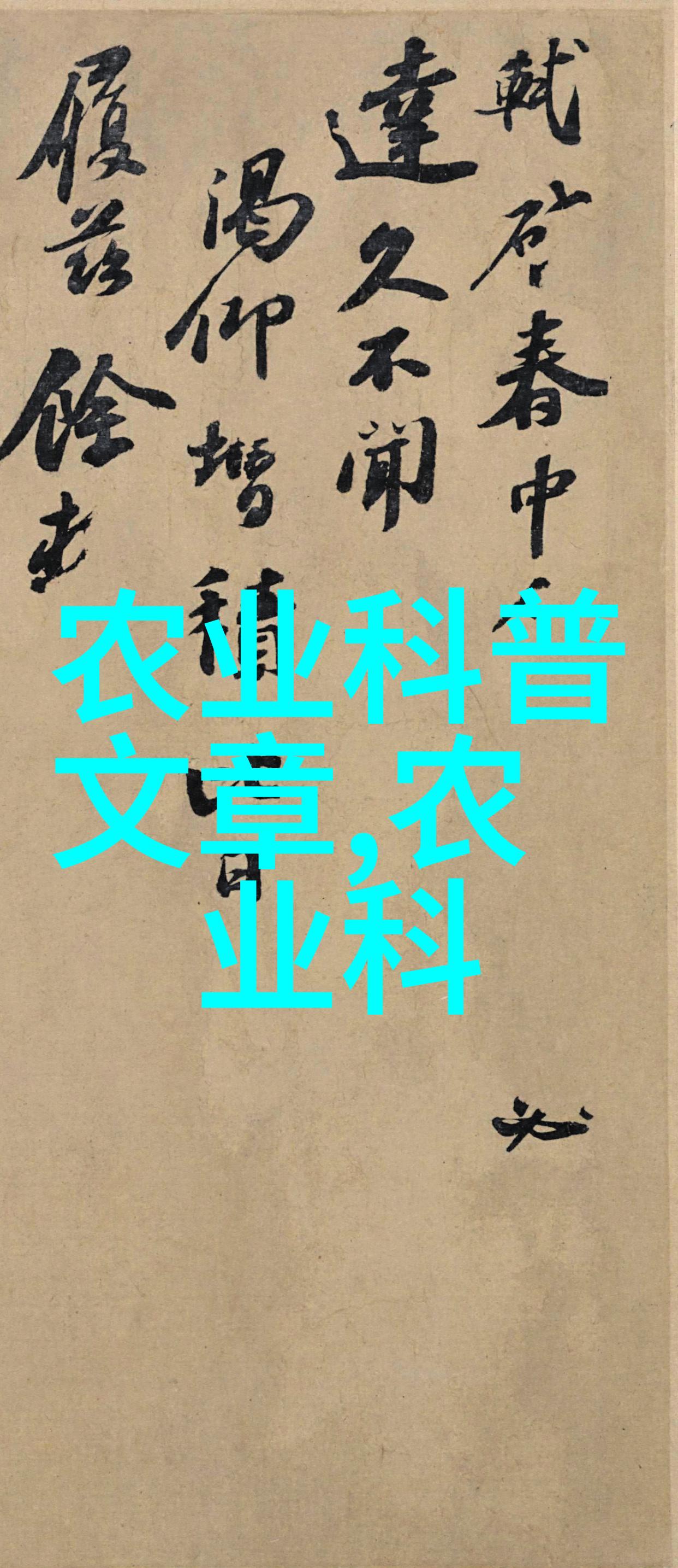 给他们轮着尝尝你的味道老周-味道的传递老周与他的美食故事
