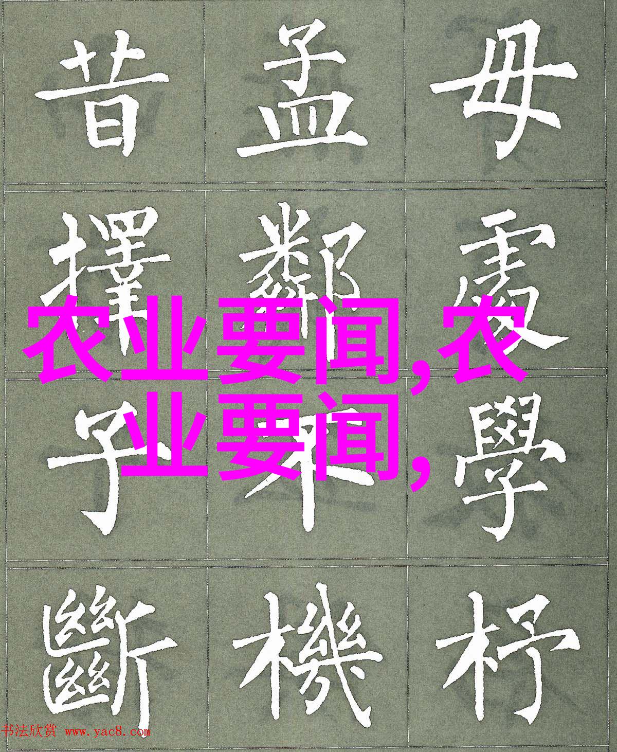 热门药材种植品种中药材种植中国名医好药自然养生