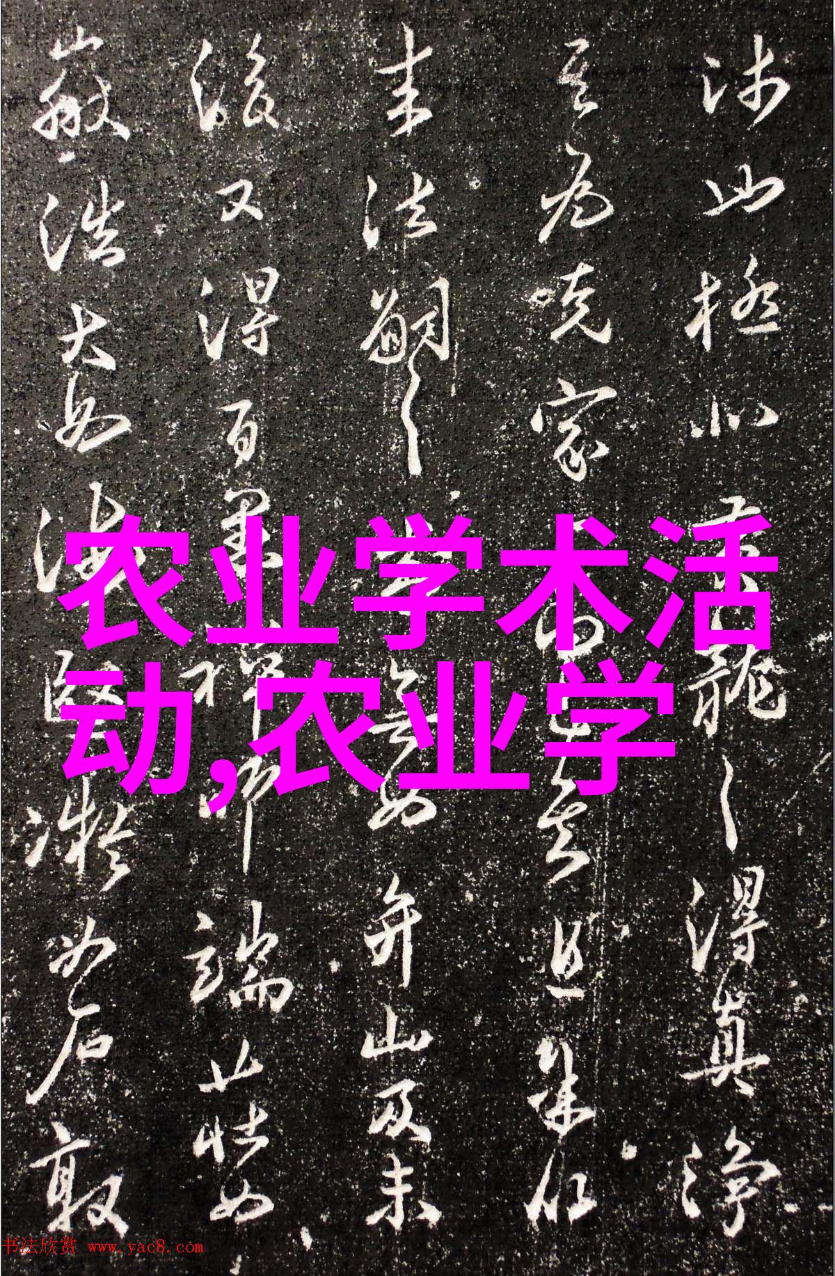 生猪常见疾病宰后检疫和具体处理
