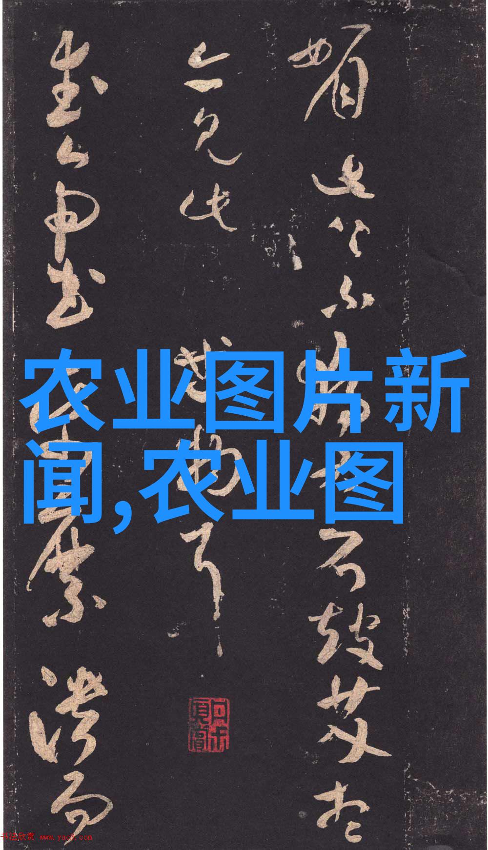 茶叶的十大保健功效我来告诉你这些茶饮的超级健康秘密
