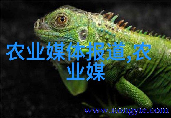 农业批发网的运作机制与优势分析